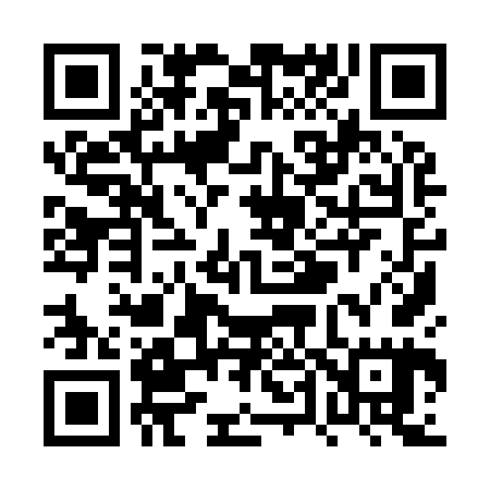 QR code for PT9965
