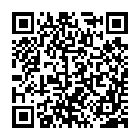 QR code for PU2656