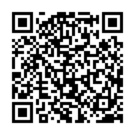 QR code for PV0333