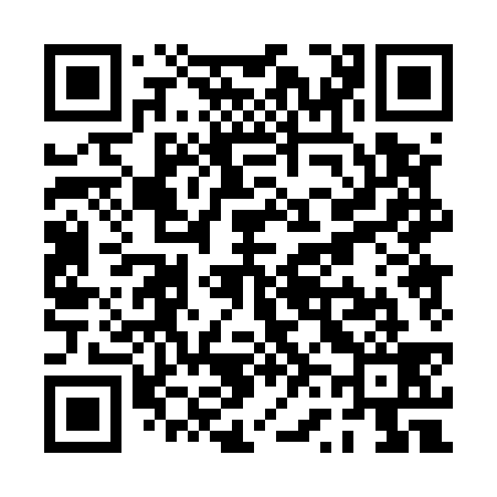 QR code for PV0539