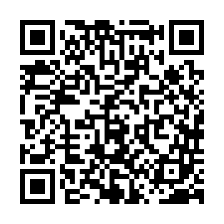 QR code for PV8343