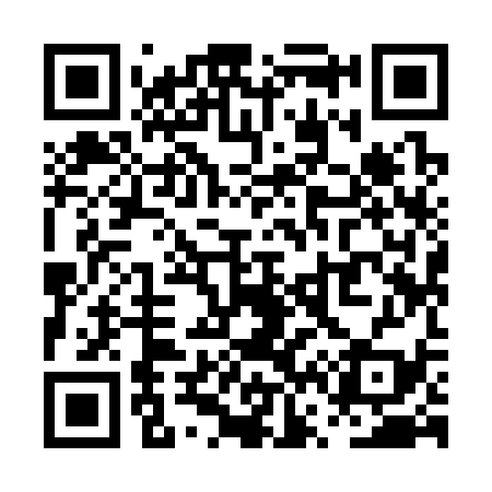 QR code for PV9339