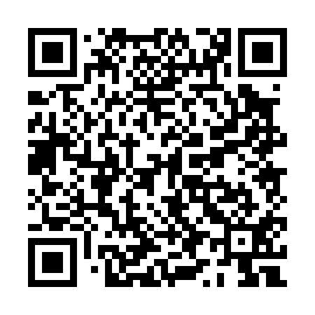 QR code for PY0011