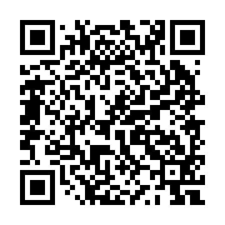 QR code for PZ0293