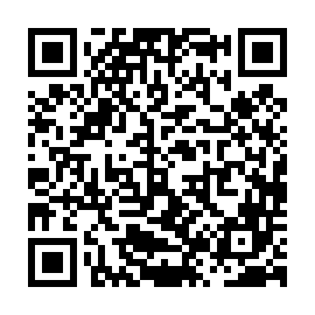 QR code for PZ0446