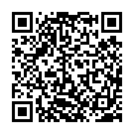 QR code for PZ0613