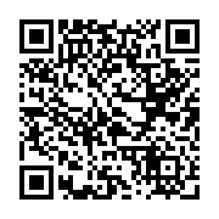 QR code for PZ0741