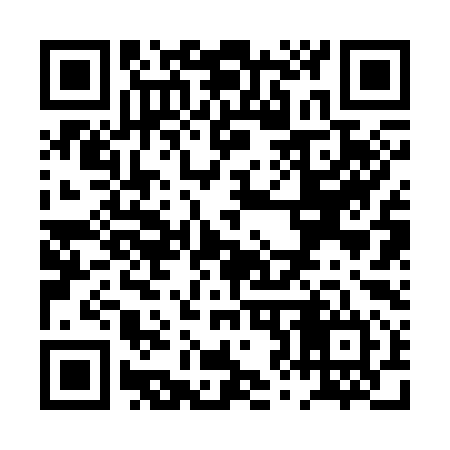 QR code for PZ2394