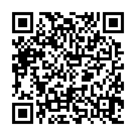 QR code for PZ6384