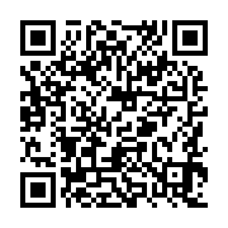 QR code for PZ8991