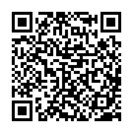 QR code for QA0381