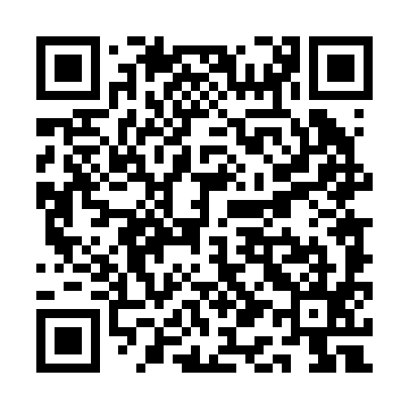 QR code for QA4295