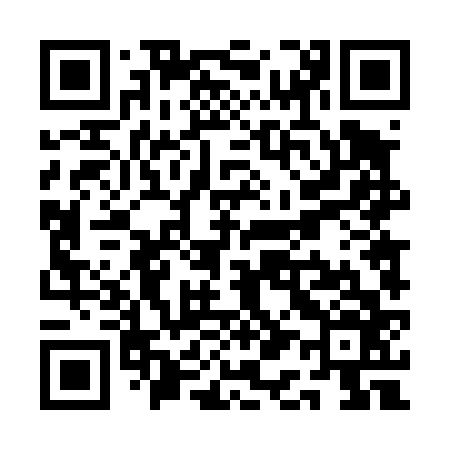 QR code for QA4466