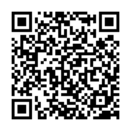 QR code for QA6595