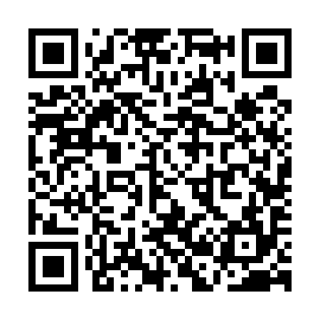 QR code for QB6594