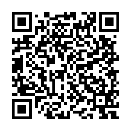 QR code for QC0595