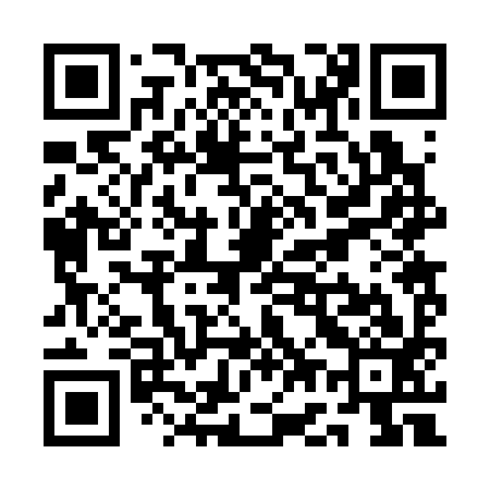 QR code for QG2393