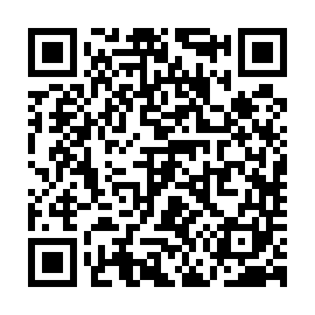 QR code for QG2541