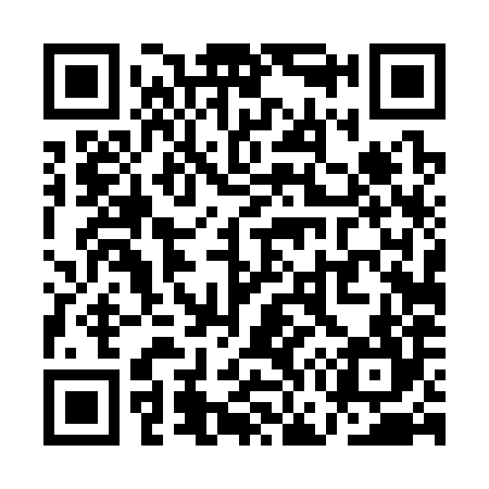 QR code for QG4384