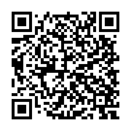 QR code for QG4546