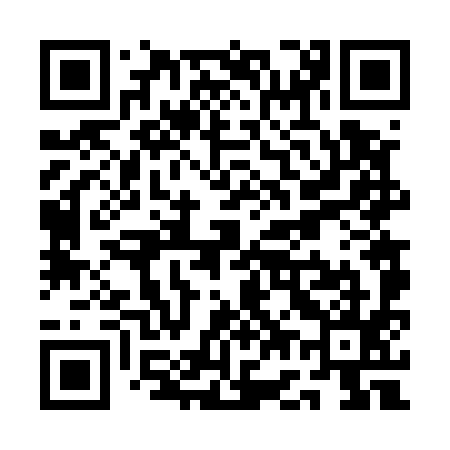 QR code for QG6595