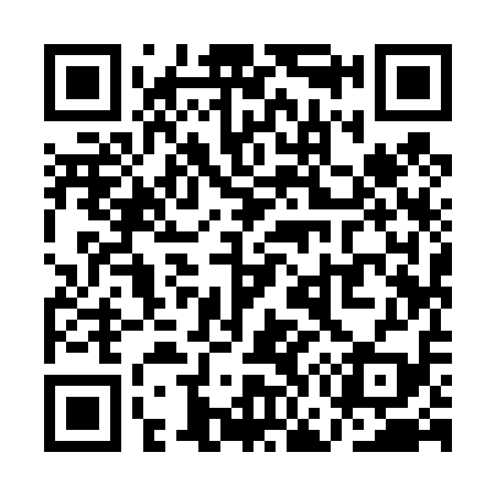 QR code for QG9419