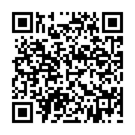 QR code for QG9919