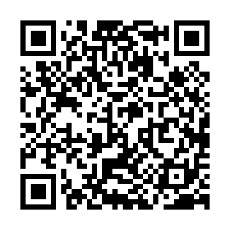 QR code for QI0011