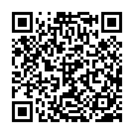 QR code for QI0020
