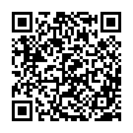 QR code for QI0046