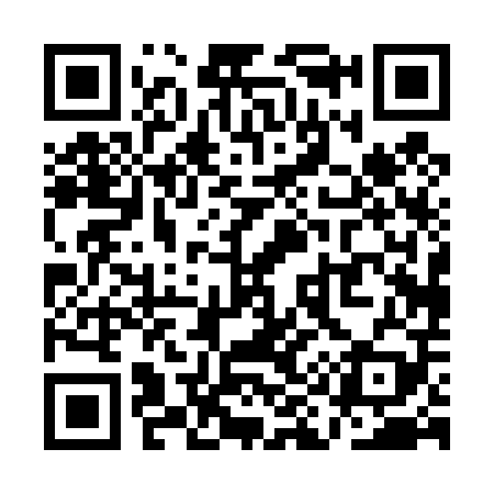 QR code for QI0409