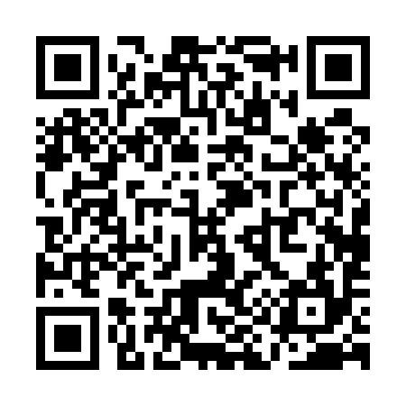 QR code for QI0594
