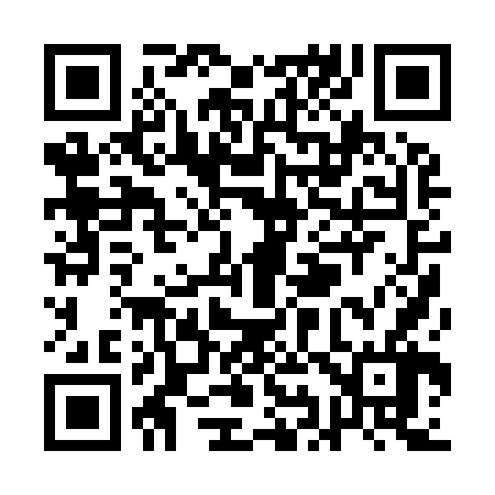 QR code for QI0966