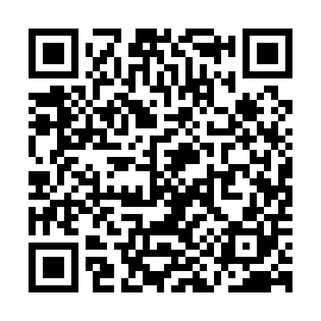 QR code for QI1100