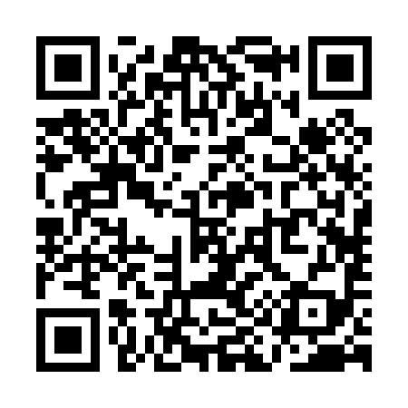 QR code for QI2099