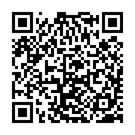 QR code for QI2595