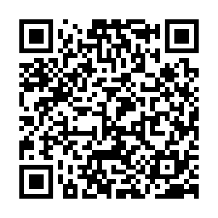 QR code for QI5335