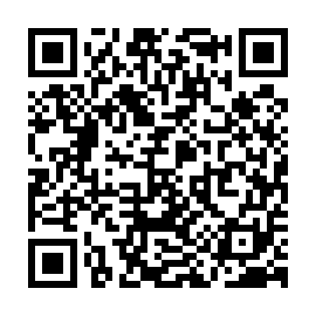 QR code for QI5551