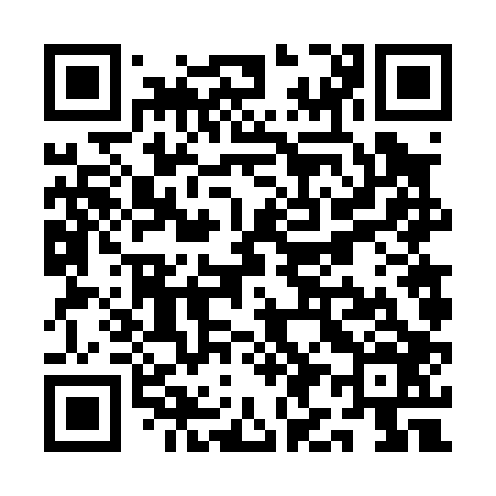 QR code for QI6006