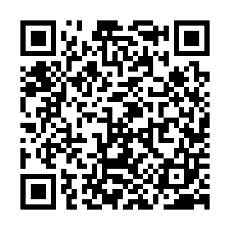 QR code for QI6303