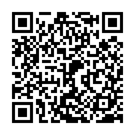 QR code for QI7541