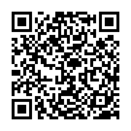 QR code for QI8521