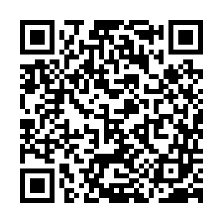 QR code for QI9243