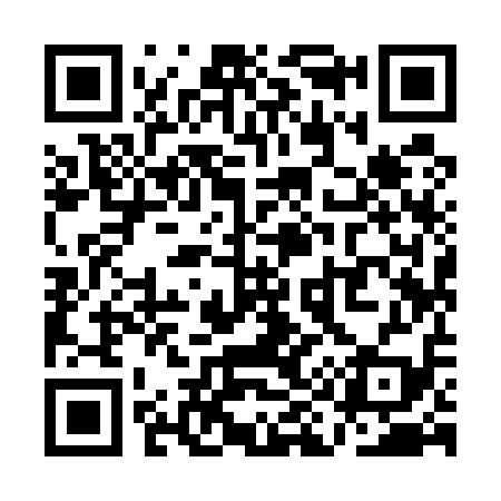 QR code for QI9519
