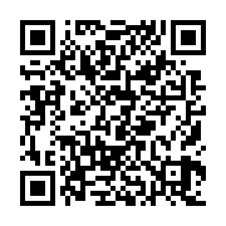 QR code for QI9729