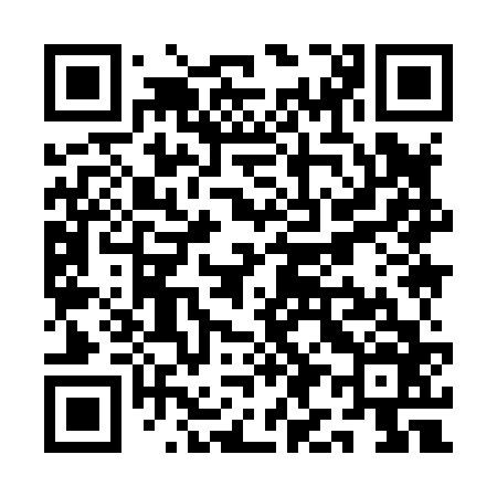 QR code for QI9866