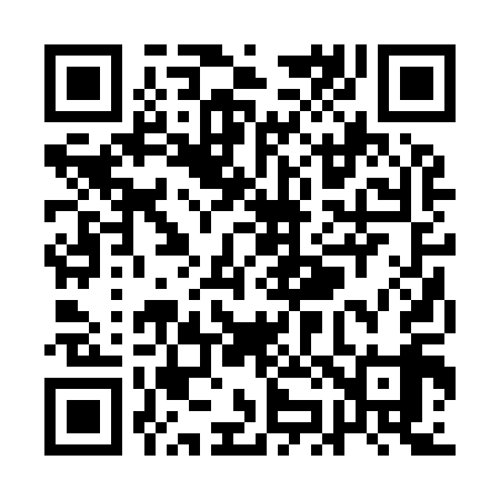 QR code for QJ2919