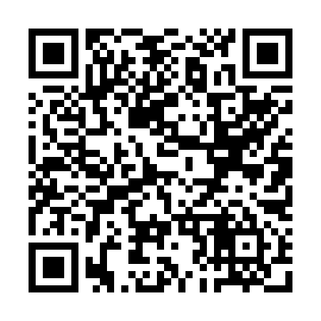 QR code for QJ4295