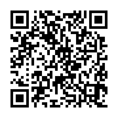 QR code for QJ6383