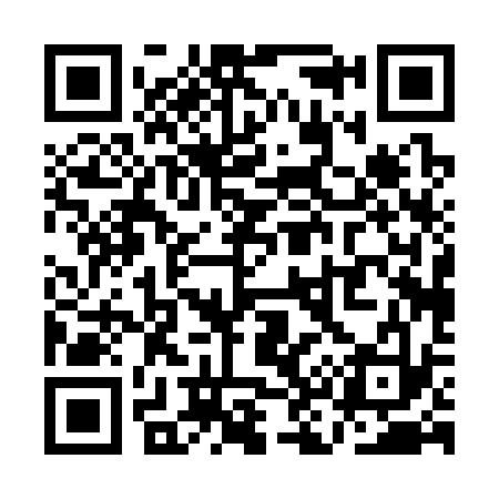 QR code for QK0333